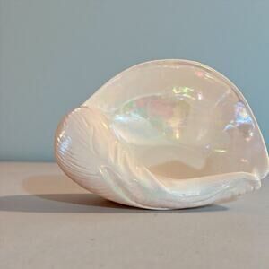 Iridescent Ceramic Shell by Nantucket Home